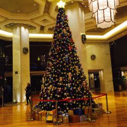 -上海外高桥喜来登酒店·宴会厅