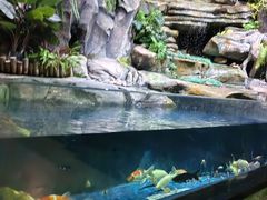 -萌宠奇缘(荣鼎店)