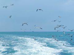-海驴岛(荣成市)