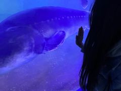 -重庆欢乐海底世界