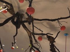 -九鼎轩火锅大排挡