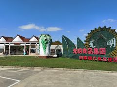 -上海都市菜园