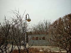 -迎泽公园