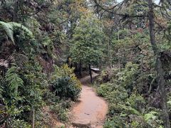 -大罗山风景区