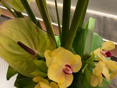 -皇朝会.经典传统粤菜(外滩店)