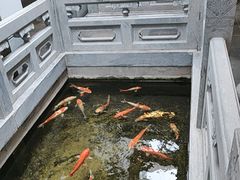 -鲤院·新中式美学·庭院餐厅(夫子庙店)