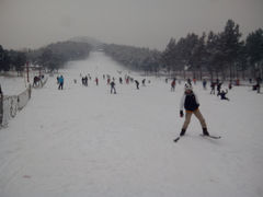 -玉泉威虎山森林公园