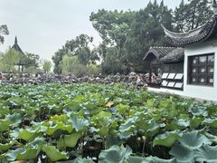 -无锡蠡湖国家湿地公园-蠡园