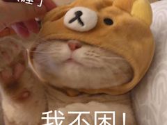 -星星奶冰·汤圆(甘肃路店)