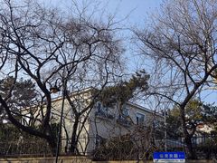 -八大关景区