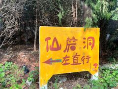 -仙蘑洞