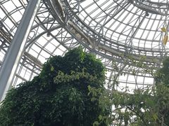 -郑州植物园