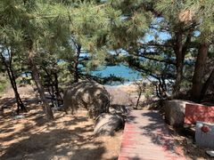 -养马岛旅游度假区