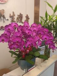 -金美秀瘦身养生