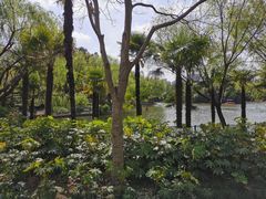 -黄兴公园