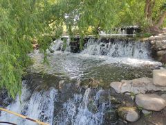 -长白岛森林公园