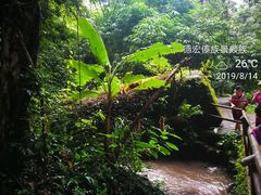 -莫里热带雨林景区
