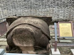 -房湖公园