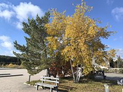 -塞罕坝国家级自然保护区