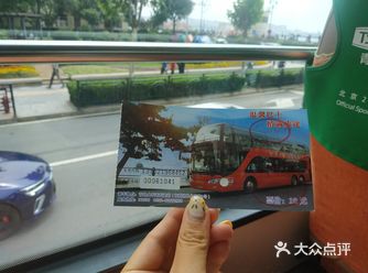 全程看海的双层巴士 你们爱了吗