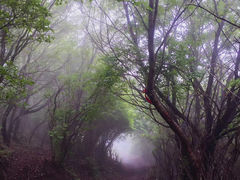 -北京灵山风景区
