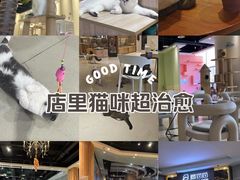 -藏猫猫咖啡主题馆(中央大道店)