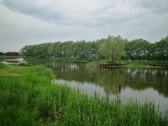 -白渔泡湿地公园