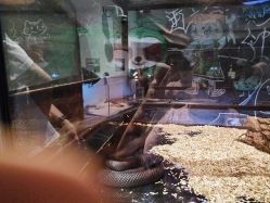 -Zoolung Zoolung动物主题公园(海信广场店)