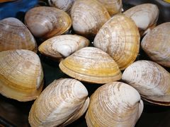 -丹东特色烤肉(南光三部店)