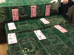-荔城生鲜盛宴(番禺旗舰店)