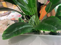 -黄记煌三汁焖锅(悦方IDmall店)