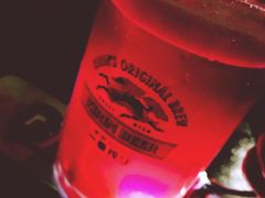 红啤-鸟内会(河北路店)