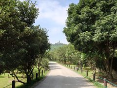 -苏州上方山国家森林公园