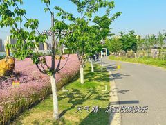 -菊园百果园