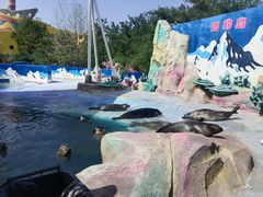 -北戴河圣蓝海洋公园