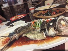 古法鲜蒸石斑鱼-南海渔家•海鲜•正宗海南菜(海棠湾店)