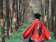 -白鹭湾湿地公园