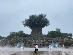 -郑州银基国际旅游度假区