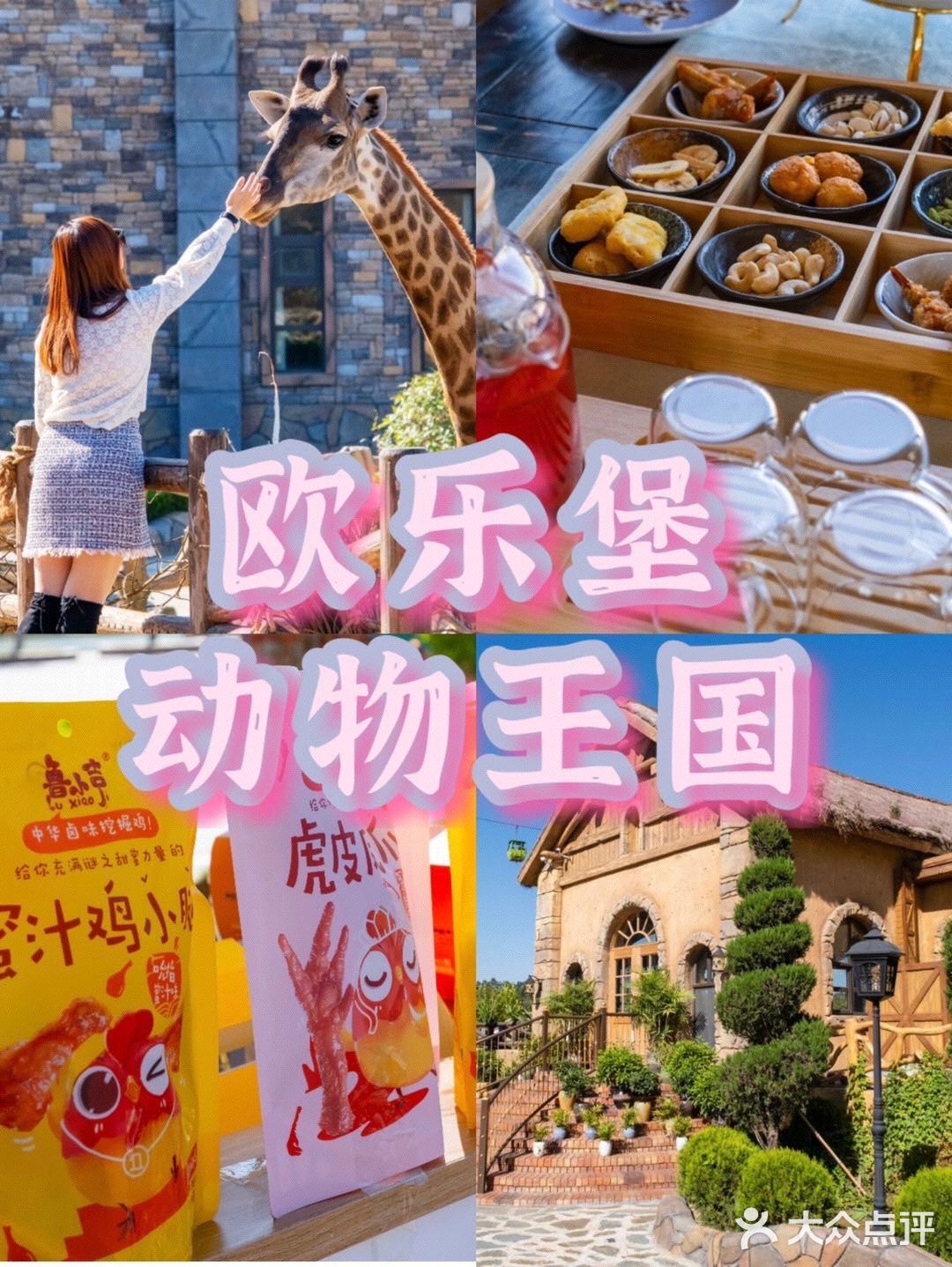 探店｜鲁小吉撒欢儿玩转欧乐堡