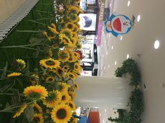 iphone_upload_pic-梦之岛百货(水晶城店)
