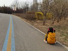 -永定河休闲森林公园