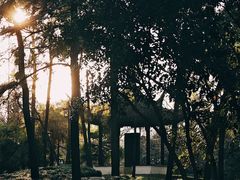 -寒山寺