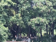 -成都市活水公园