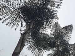 -龙头寺公园