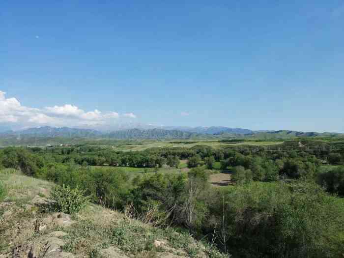 峡门子风景区-"什么旅游风景区呀?连一片像样的草地都没有.
