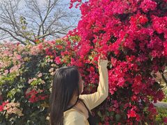 -东莞植物园
