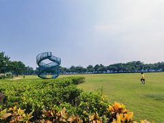 -顺峰山公园