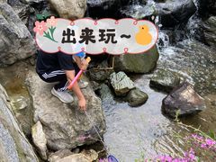 -白水寺森林公园