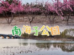 -运动派(北京店)
