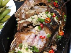 铁板烤鲫鱼-老黑板筋(顺义总店)